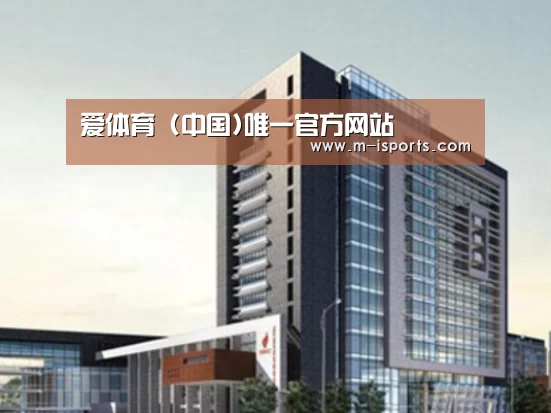爱体育案例展示四